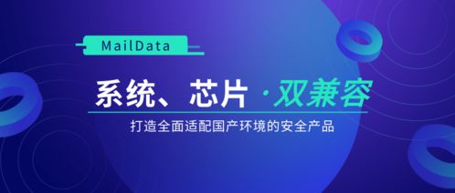 系统芯片双兼容 maildata打造全面适配国产环境的安全防伪典范